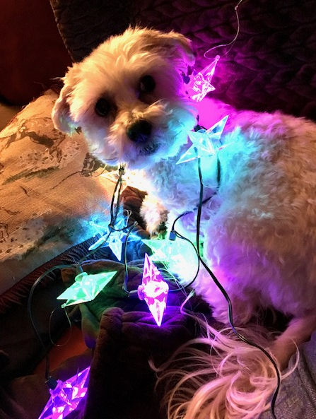 50257952211__A7D9DC0E-11BA-4EDD-86ED-0553E9806884